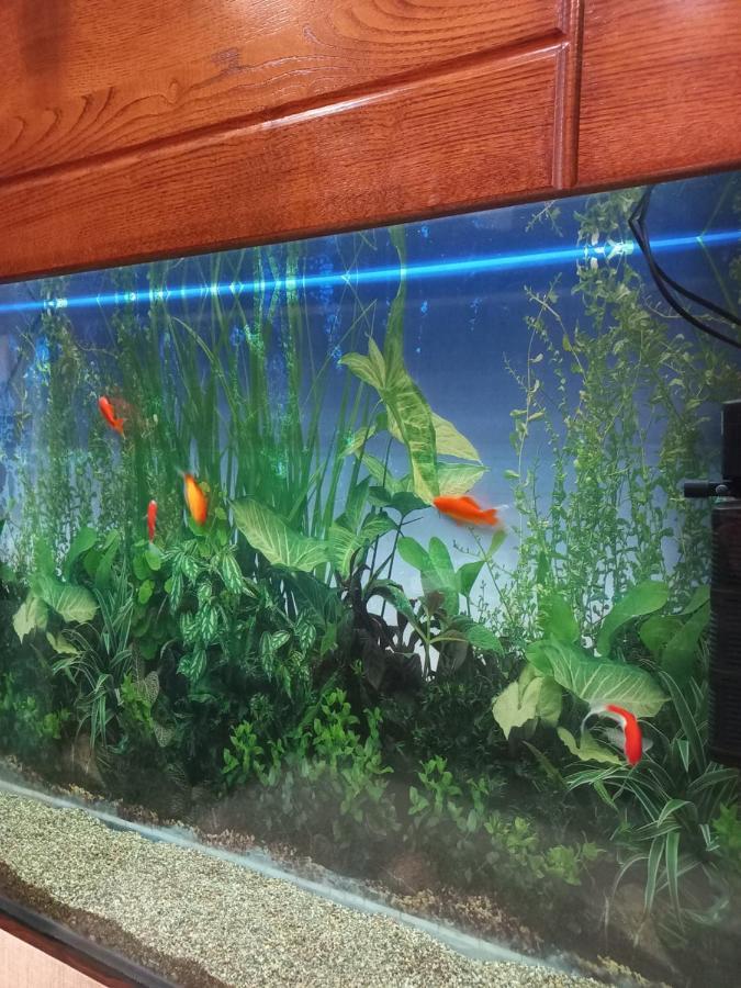 Tatapartment Tbilisi Zewnętrze zdjęcie